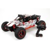Desert Buggy XL: 1:5 4WD Buggy RTR