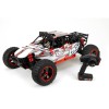 Desert Buggy XL: 1:5 4WD RTR